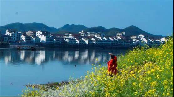 云台山|消费指南②丨益阳美食旅游打卡攻略人竹韵之旅已送达