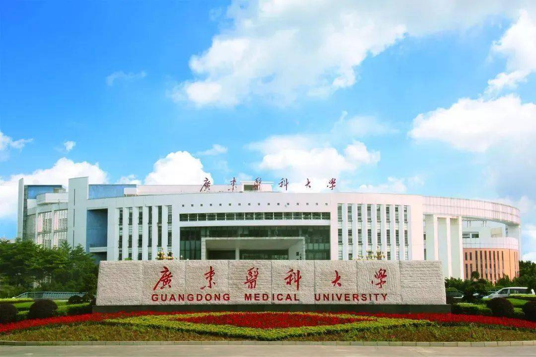 压力不大史化政究竟可以选择多少专业