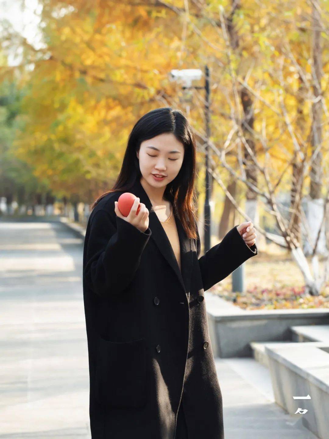 0门槛上手13种乐器,谁看了不想玩这颗蛋?