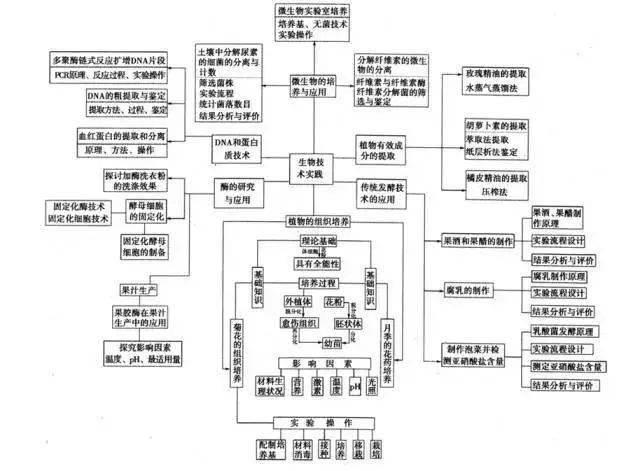 高中|高中九大学科思维导图最全汇总，高中三年都适用！（收藏）