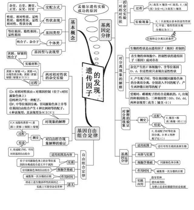 高中|高中九大学科思维导图最全汇总，高中三年都适用！（收藏）