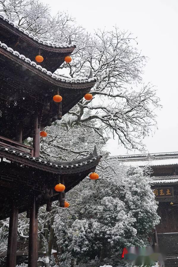 毕兹二十四节气·大寒丨天寒岁暖春将近，围炉夜话来年好