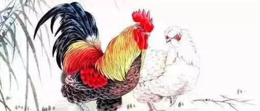 菩萨说:肖鸡人,“翻身仗”正式打响,好运到了都不接!你为什么那么傻?_属鸡_财运亨通_横财