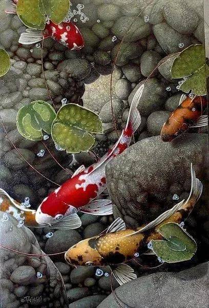 加拿大画家特里·吉列基锦鲤写实油画作品欣赏