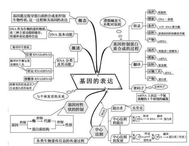 高中|高中九大学科思维导图最全汇总，高中三年都适用！（收藏）