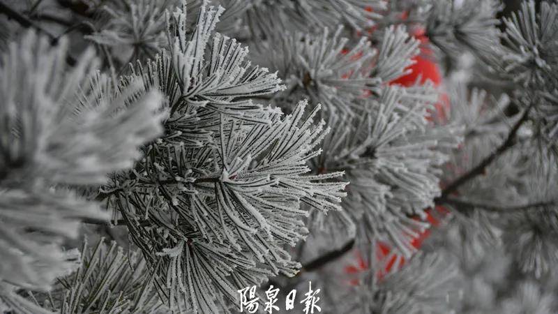 平台|宅家也能赏雪？速点击，看看雪后的狮脑山→