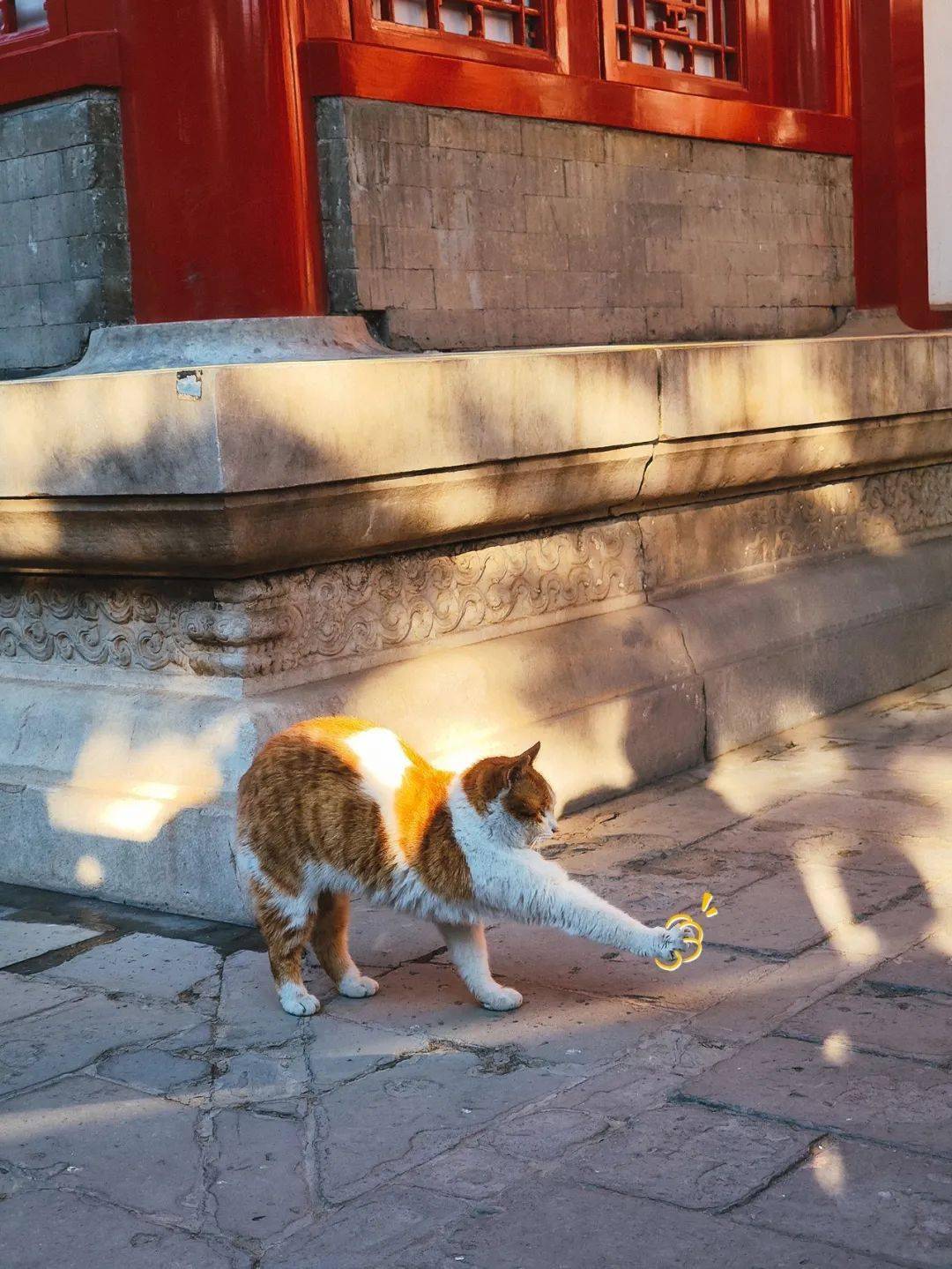 贺岁|顶流明星贺岁,送你全年表情包