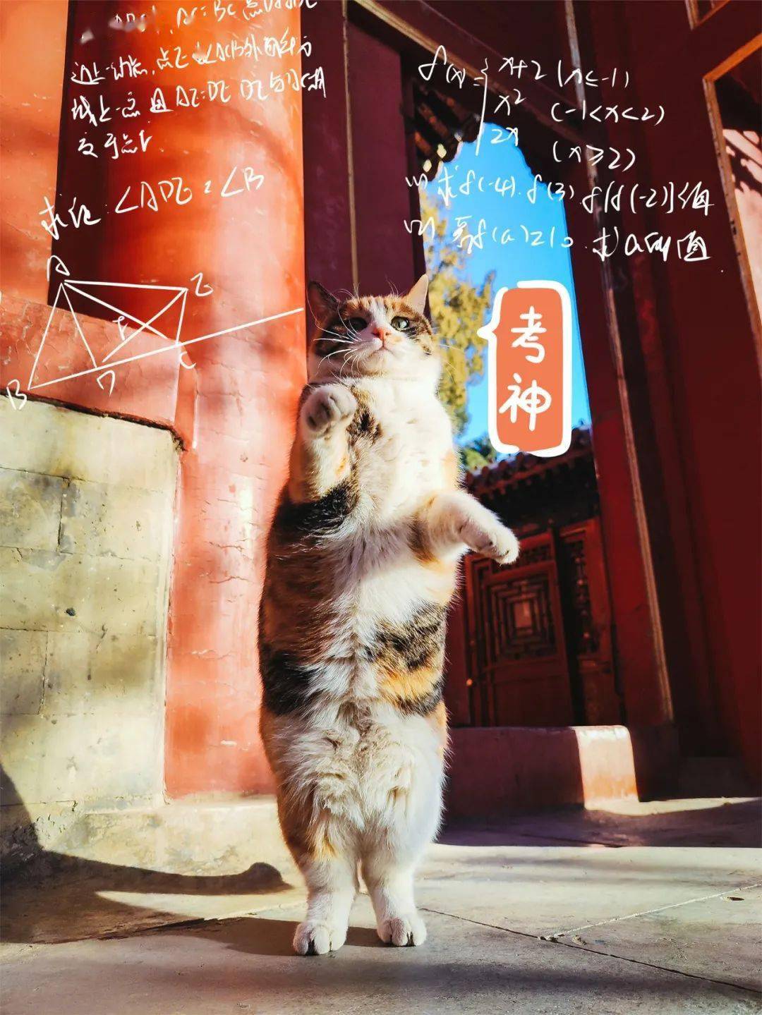 贺岁|顶流明星贺岁,送你全年表情包