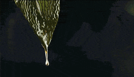 什么新年捡漏:海蓝之谜精萃水/面霜/眼霜直降1000!抱歉,这么大优惠说晚了...