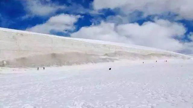 正在消失的美景八一冰川