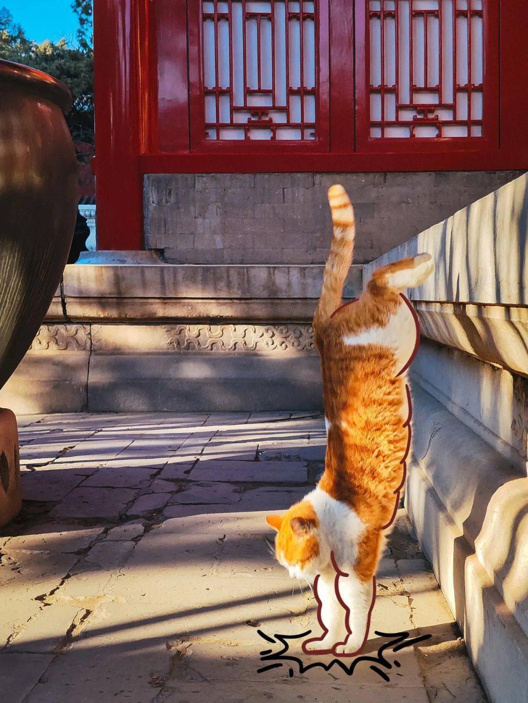 贺岁|顶流明星贺岁,送你全年表情包