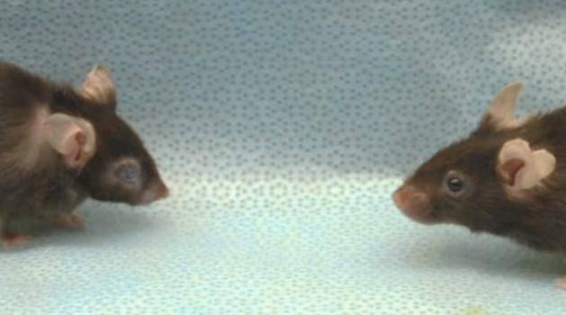 最高120万、最低0成本，这些爆火科技真能让人剩余寿命翻倍吗？