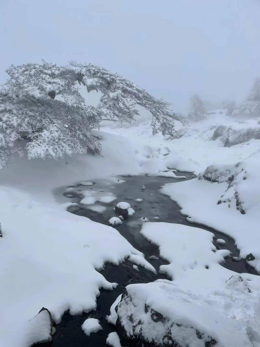 栈道|人间仙境！昆明这里下雪啦！周末约看雪吗？