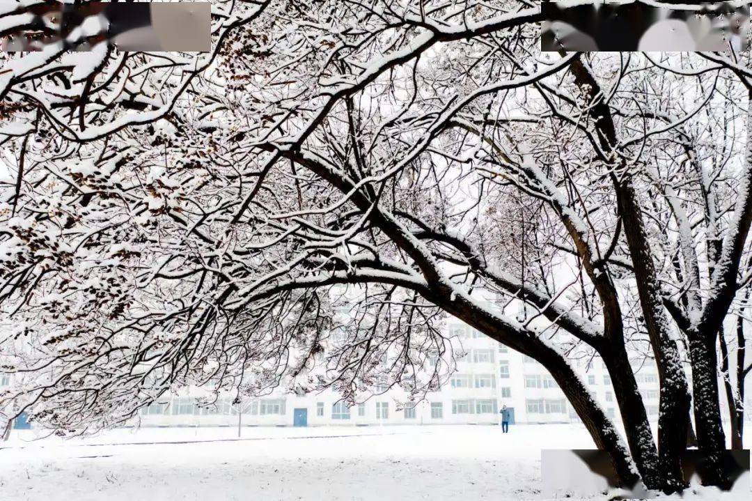 河北民族师范学院雪景图片