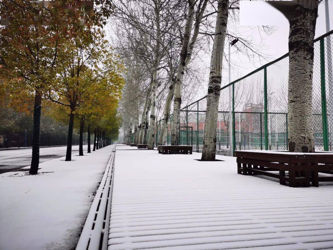 立冬的校园景色图片