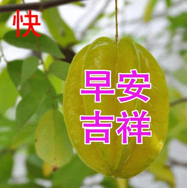 1月22日最漂亮早上好动态表情图片大全早晨好动图美图大全