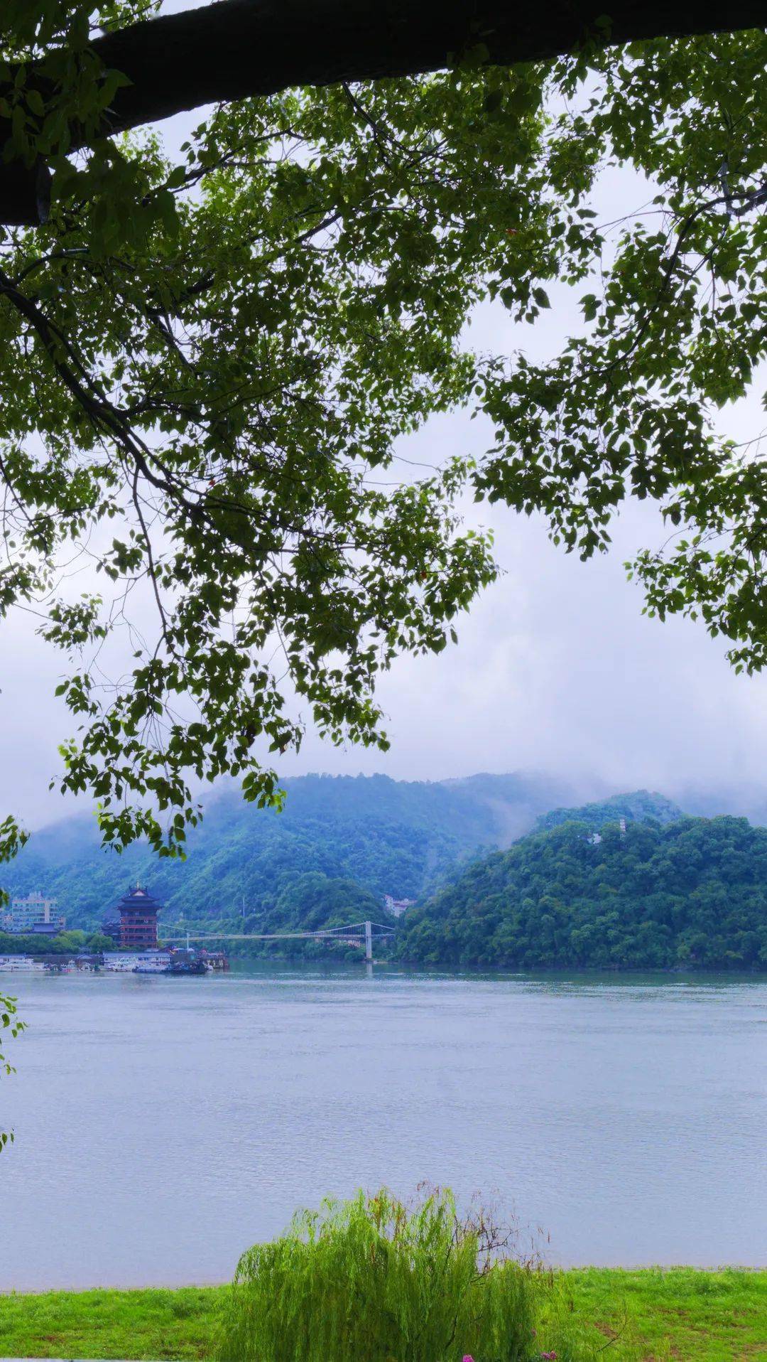 桐君山今日全新亮相继续面向全球游客免门票