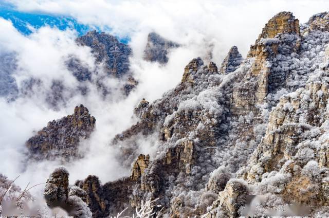 景区|让无数人刻进DNA的河北雪景有多香？