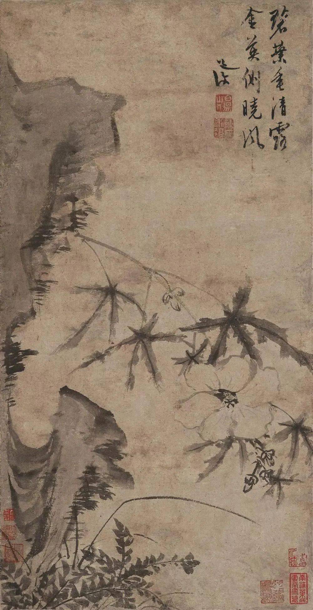 与徐渭齐名这个富二代的一花一世界_陈淳_沈周_绘画