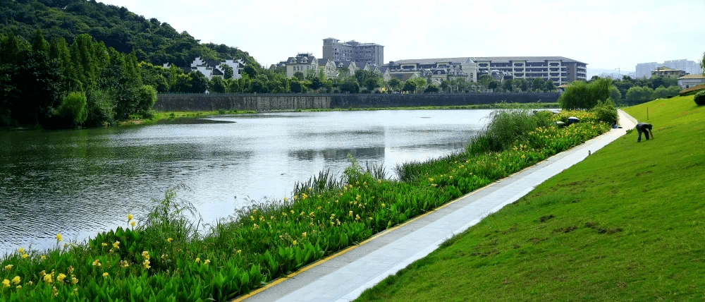 诸暨浦阳江边,有人踩到了这东西._游步道_宠物_主人
