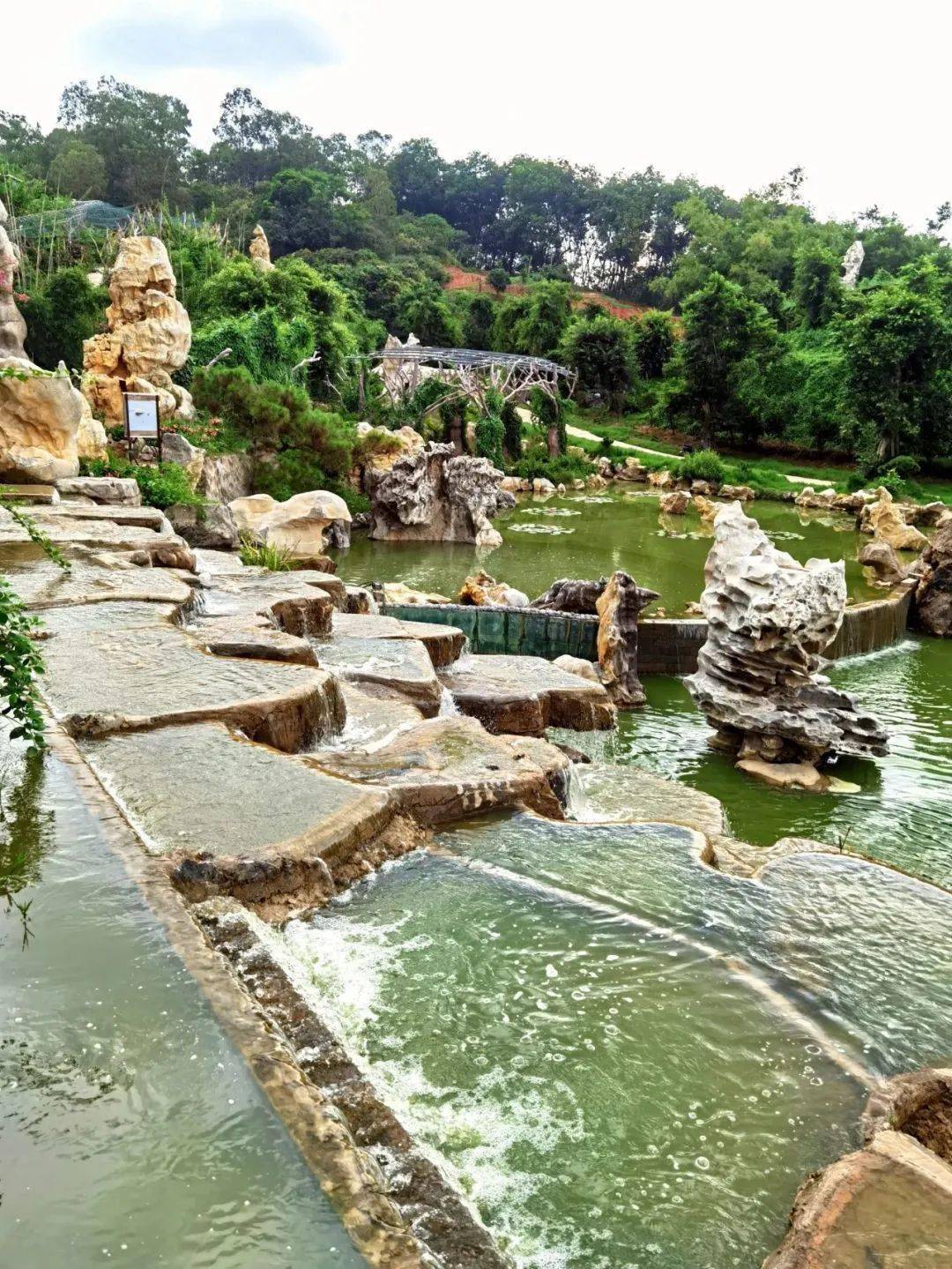 热烈祝贺茂名中旅高州凤凰园信宜钱排双合村首发团出团高州岭南凤凰园