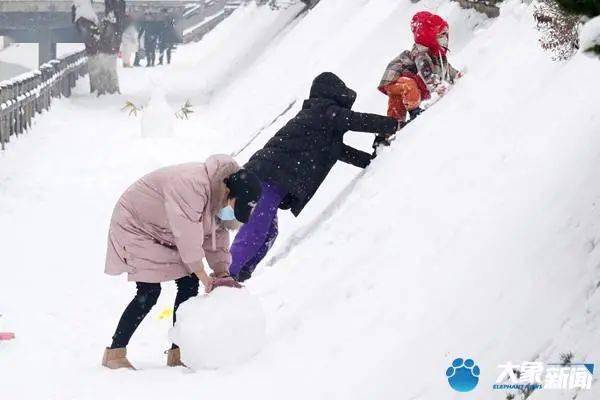 疫情|雪景美如画，市民玩嗨了！郑州这个昨天卖脱销，你抢到了吗？