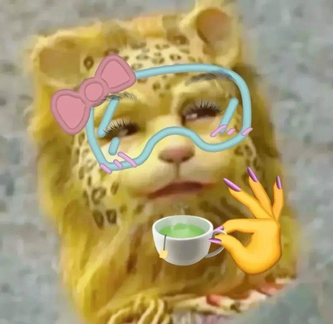 虎年关豹子什么事这下可捅了豹子窝了