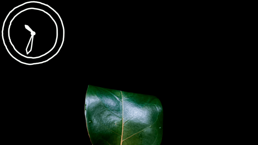 【获奖分享】看一叶子命题获奖作品,被整破防了!_参赛_指导_奖级