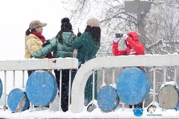 疫情|雪景美如画，市民玩嗨了！郑州这个昨天卖脱销，你抢到了吗？