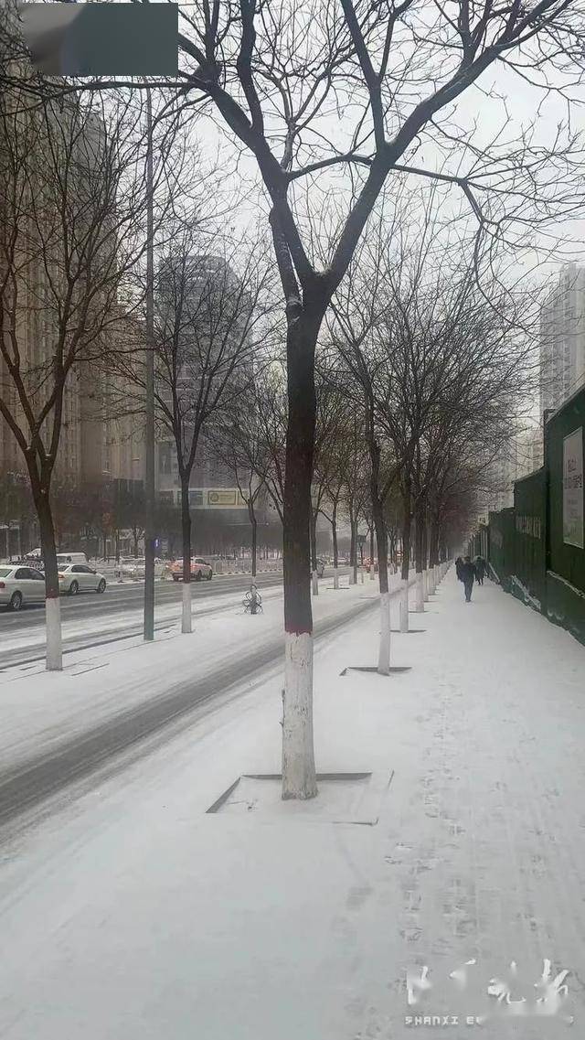 小雪 中雪 大雪!