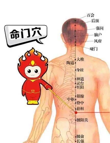 肾是先天之本后天之本是哪个脏器 fa0f9c0045f143f9a3a1b2986daf02ff.jpeg