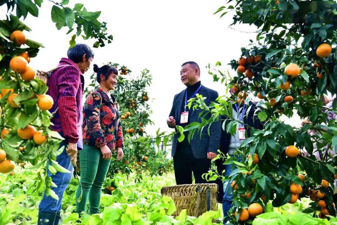 为开好局,起好步提供坚强保障③ | 群众获得感,幸福感,安全感更强
