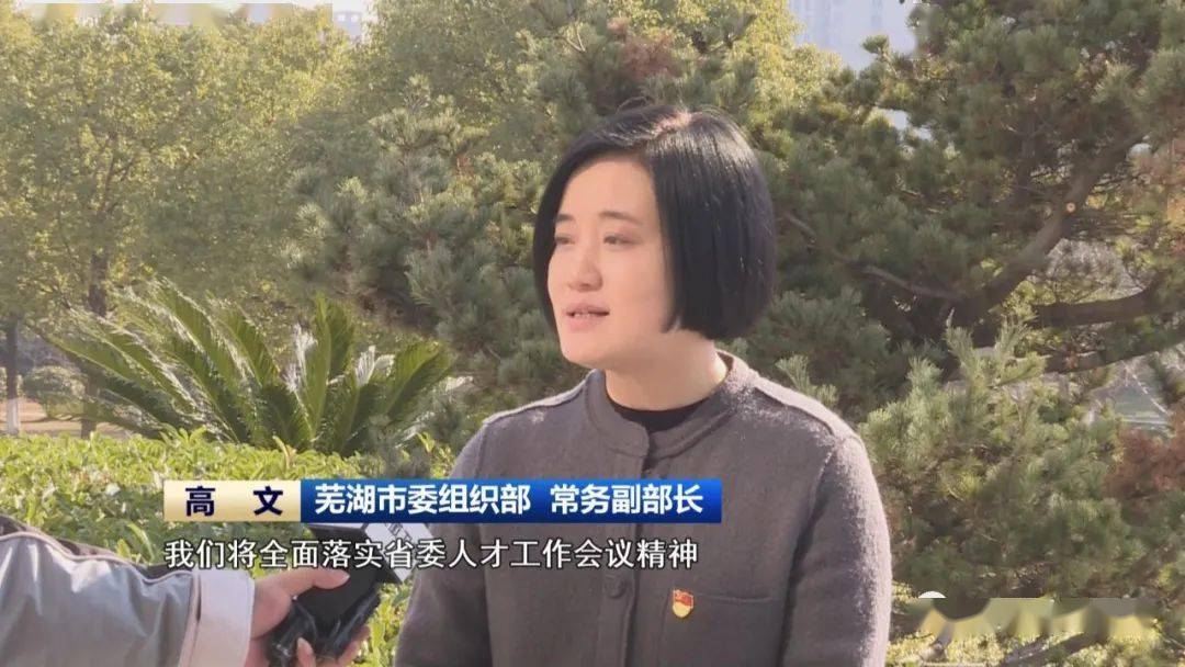 芜湖市委组织部 常务副部长 高文:接下来我们将全面落实省委人才工作