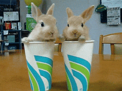 d2389d8cc0a8403d84fed56a8cf225df.gif