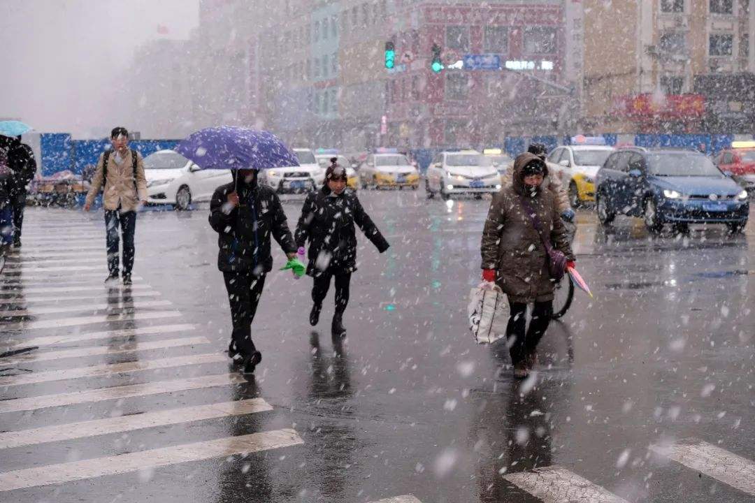 大范围雨雪覆盖20多个省份，持续到春节！山东再次切换雨雪天模式大范围雨雪再来袭 8省有大到暴雪天气西北 8460