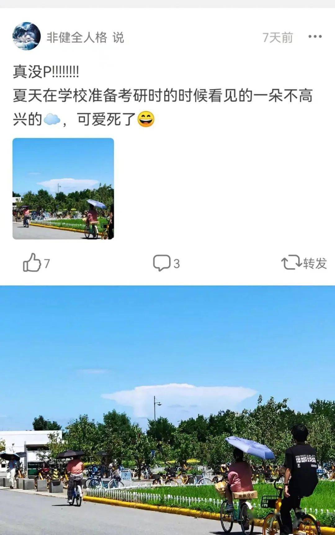 生活|“无意间发现生活中的艺术…”好家伙这才是人间值得！！