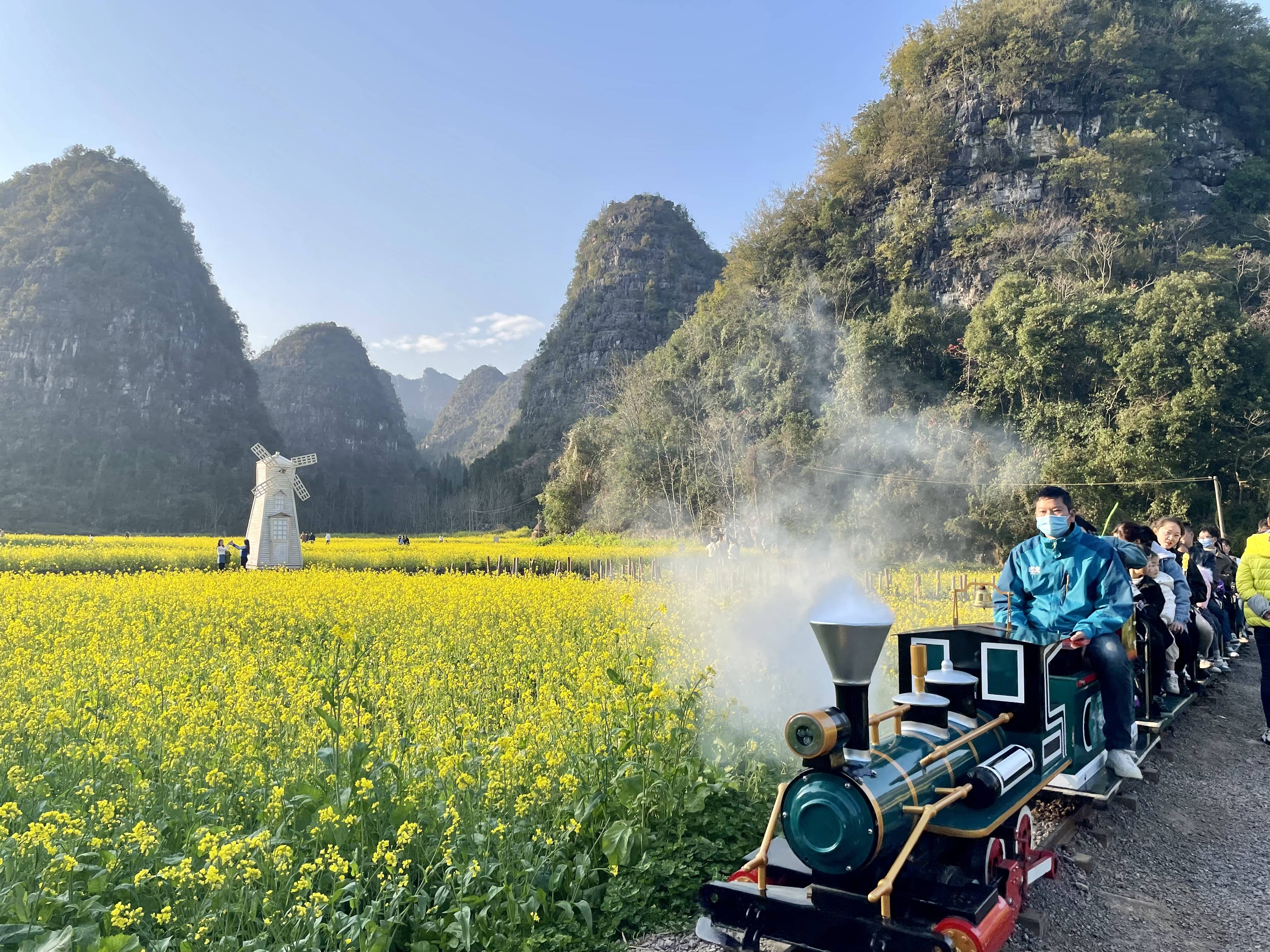 成都油菜花景点小火车图片