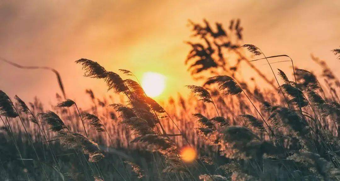 生命的最高境界