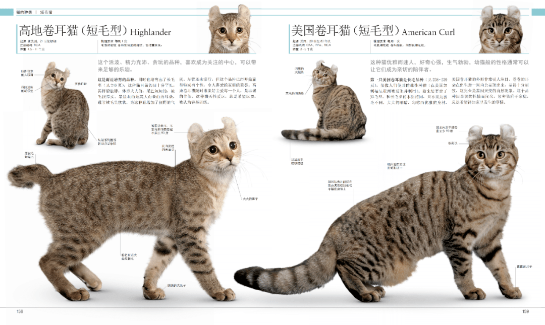 b28c8a9f866340af9ef230c91e117a91.png