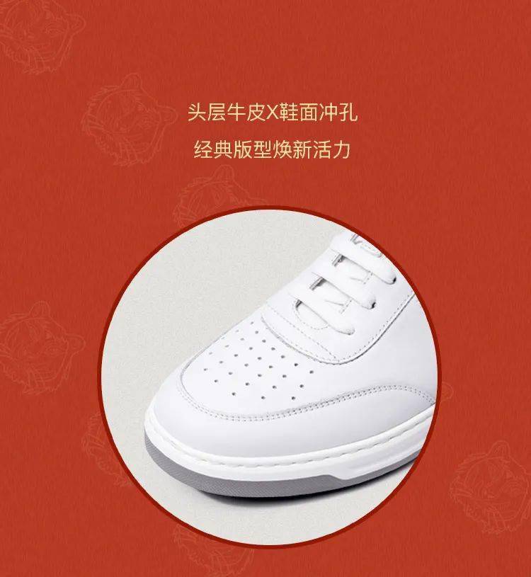 瑞迎鸿虎，大飒四方