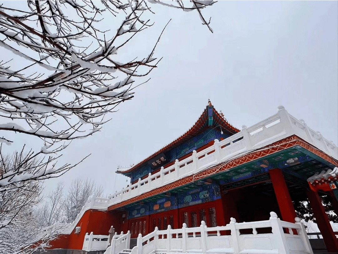 高清大圖雪後的曹州牡丹園驚豔了菏澤