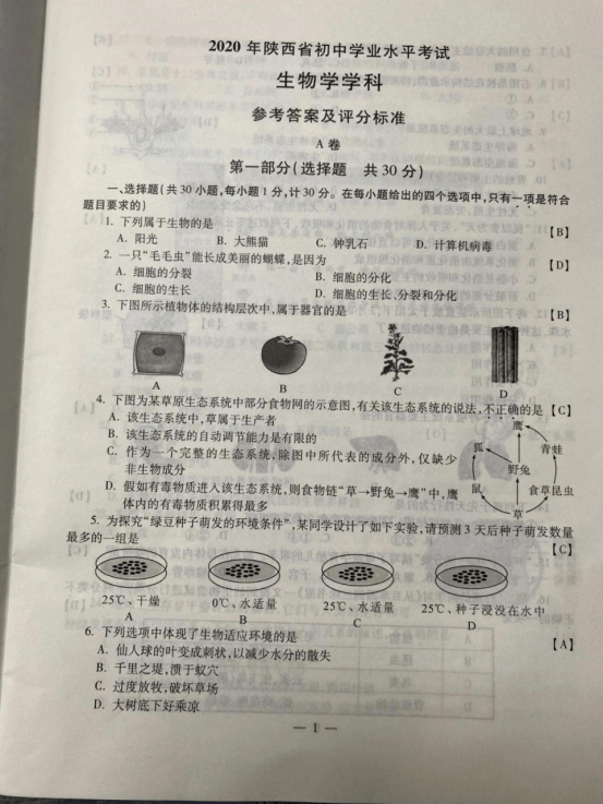 近三年陕西中考生物真题及答案汇总速看