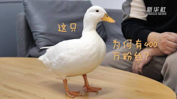 a04f5dd5462b4339a445135dbe0fa736.jpeg
