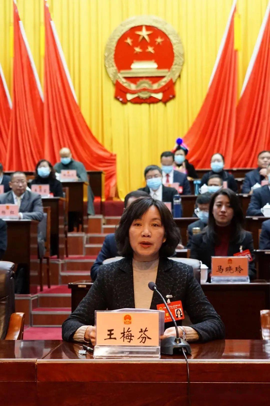 王梅芬说大会依法选举产生了新一届市人大常委会领导班子和委员,并