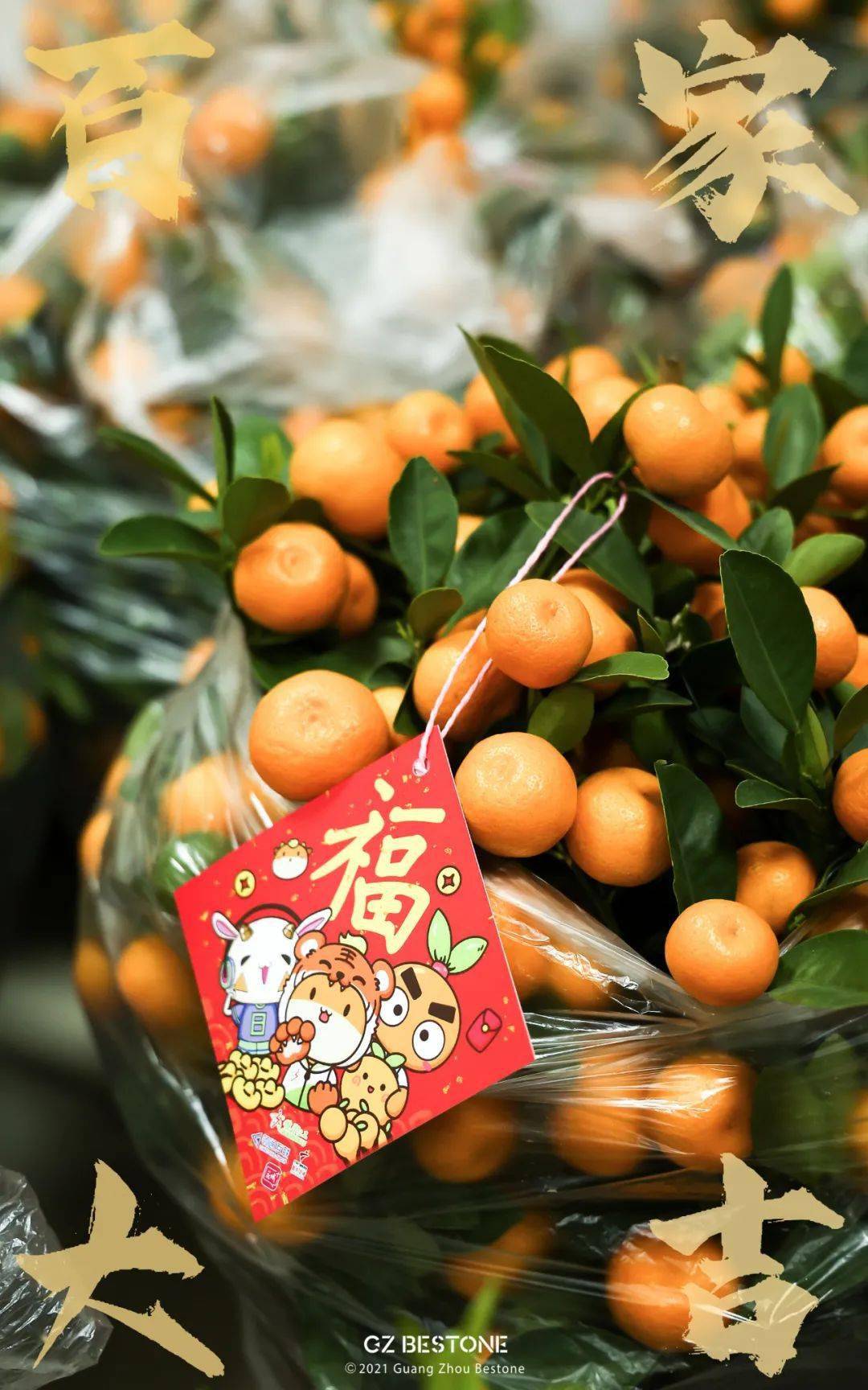 年桔_爱心_公益