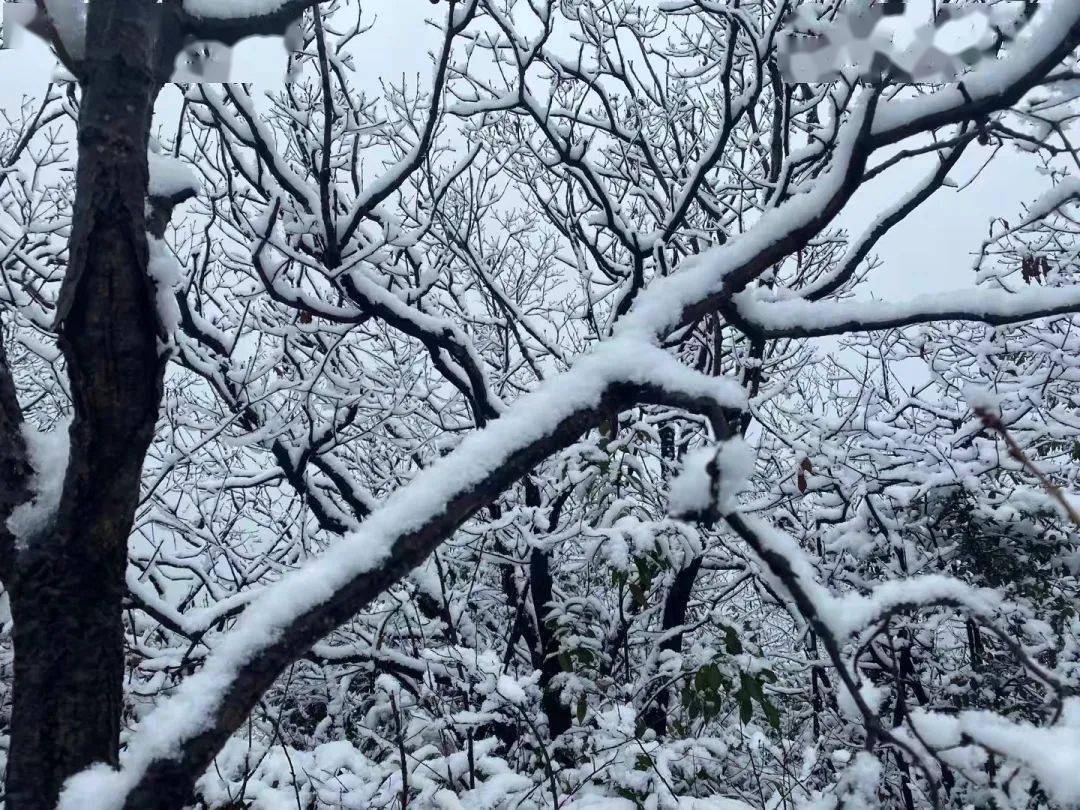 常州_雨夾雪_工作