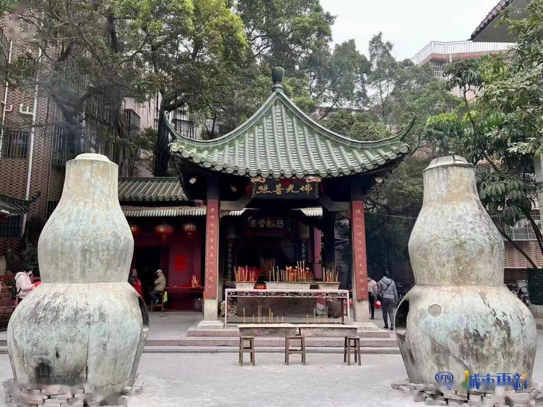 荔湾坑口村:百年民俗传承,旧村守望新生|羊城村史录78_生菜_广州