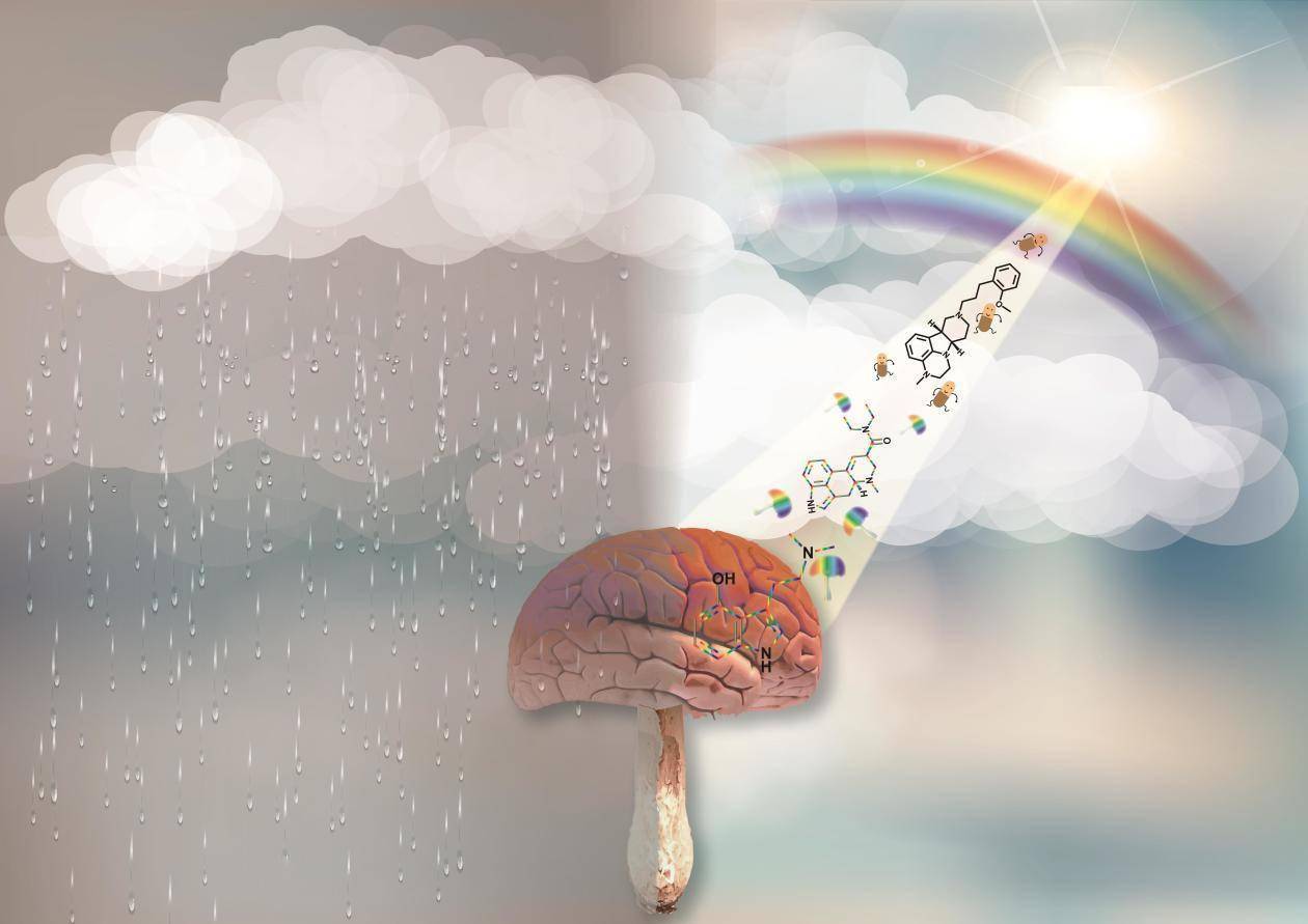 我国科学家研发出新型快速抗抑郁化合物