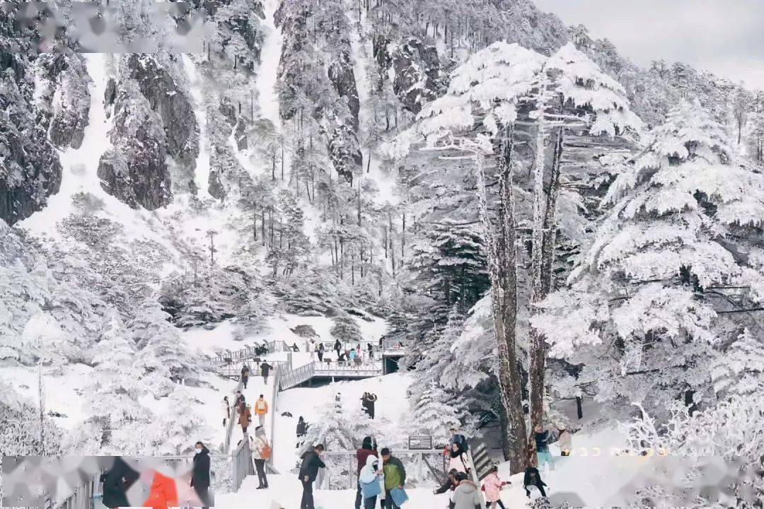 大理|大年初一免门票、预购4.5折...大理景区“春节大礼包”请查收！