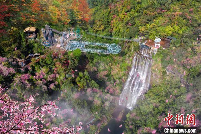 玻璃|立体式赏花 广东清远古龙峡“十里花溪”迎游人